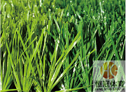 人工草坪足球場建設(shè)